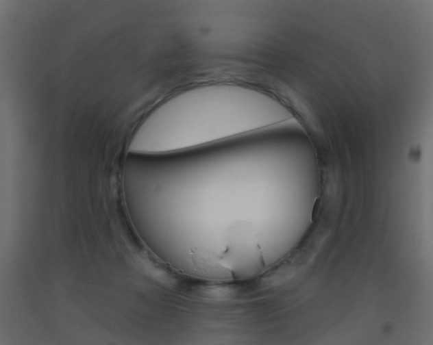X0000093500313200710121048