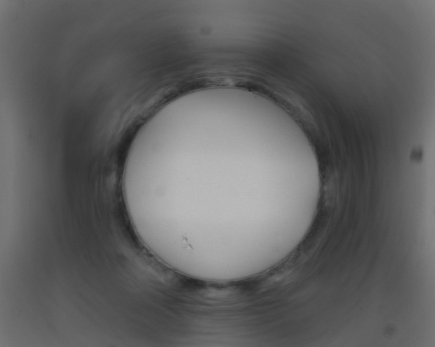 X0000093500314200710121048