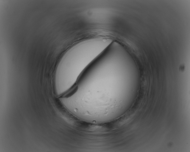 X0000093500315200710121048