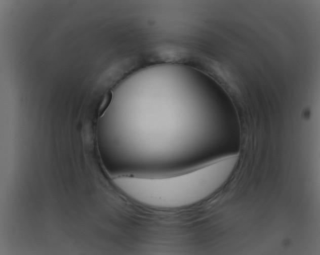 X0000093500317200710121048