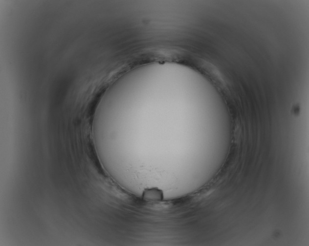 X0000093500318200710121048