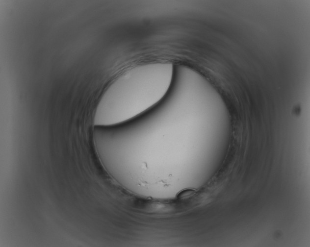 X0000093500319200710121048