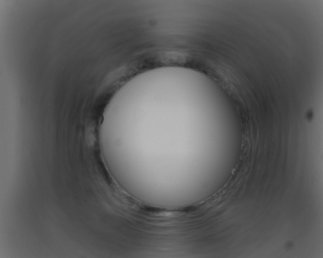 X0000093500323200710121048