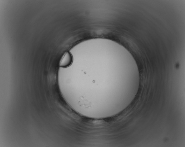 X0000093500324200710121048