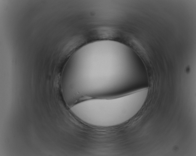 X0000093500325200710121048