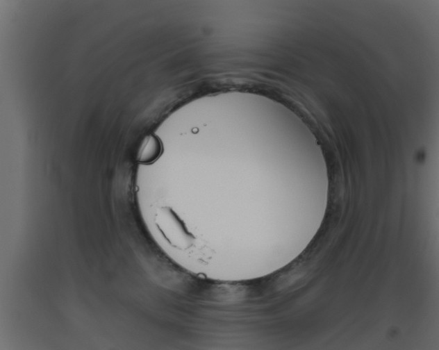 X0000093500328200710121048