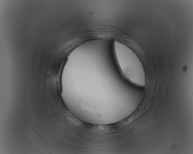 X0000093500329200710121048