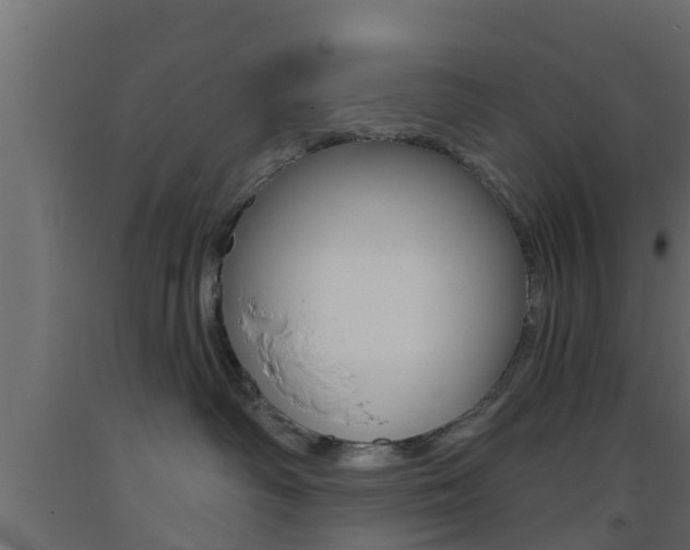 X0000093500334200710121048