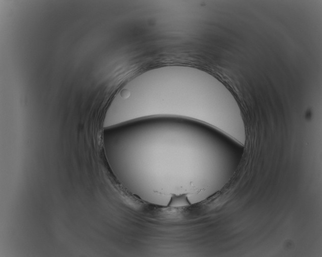 X0000093500335200710121048