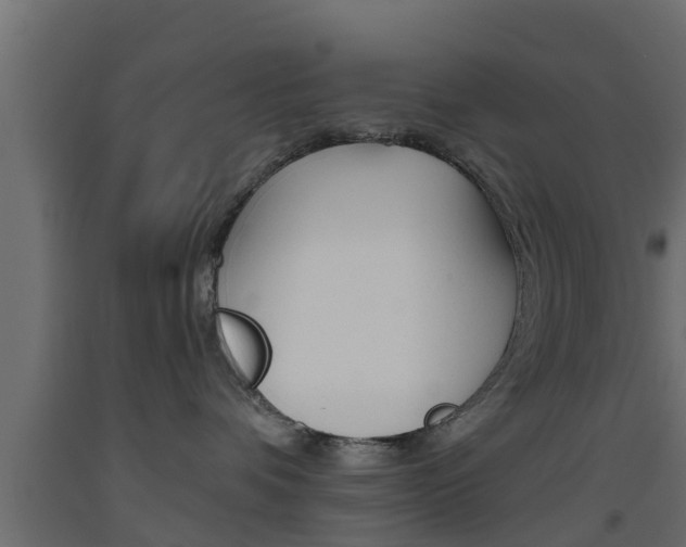 X0000093500336200710121048