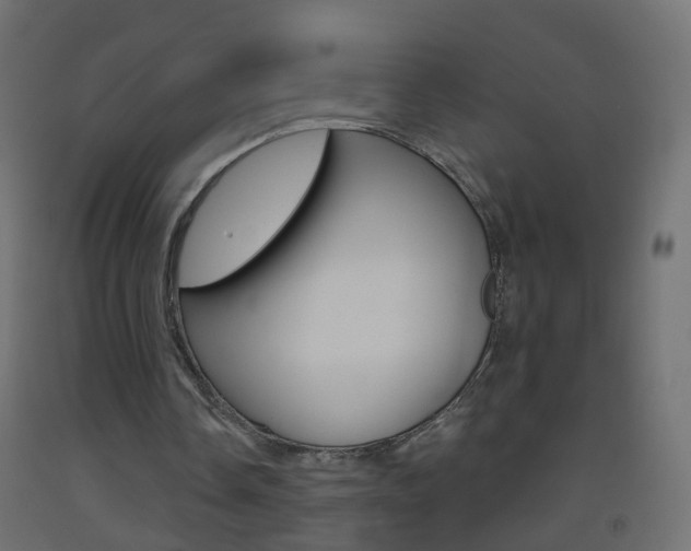 X0000093500338200710121048