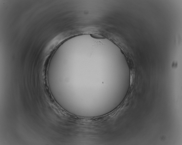 X0000093500339200710121048