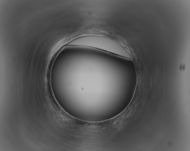 X0000093500340200710121048