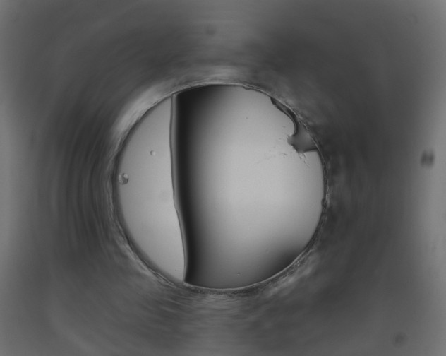 X0000093500341200710121048