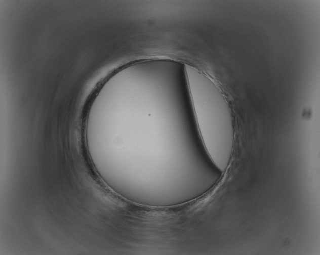 X0000093500342200710121048