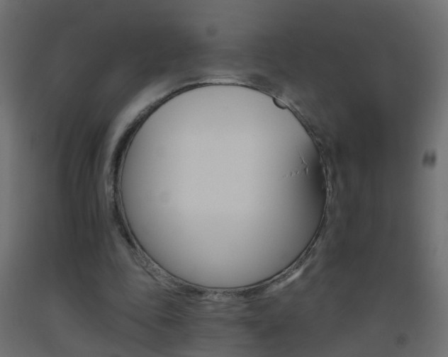X0000093500343200710121048