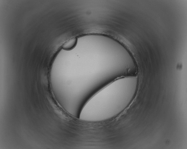 X0000093500345200710121048