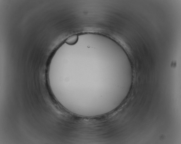X0000093500346200710121048