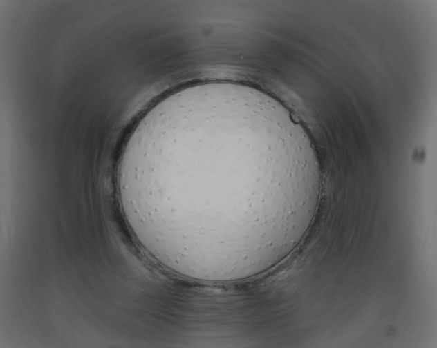 X0000093500347200710121048
