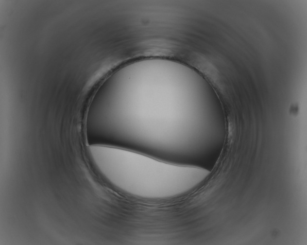 X0000093500348200710121048