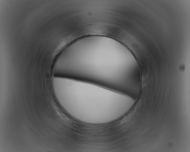 X0000093500349200710121048