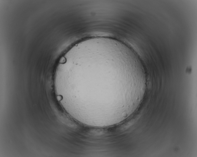 X0000093500351200710121048