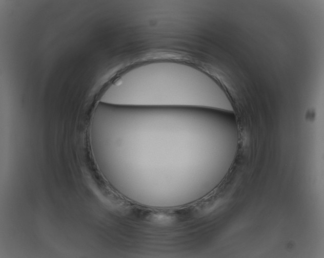 X0000093500352200710121048