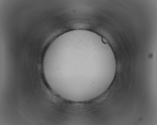 X0000093500353200710121048
