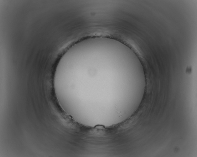 X0000093500354200710121048
