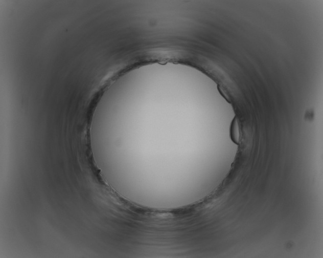 X0000093500355200710121048