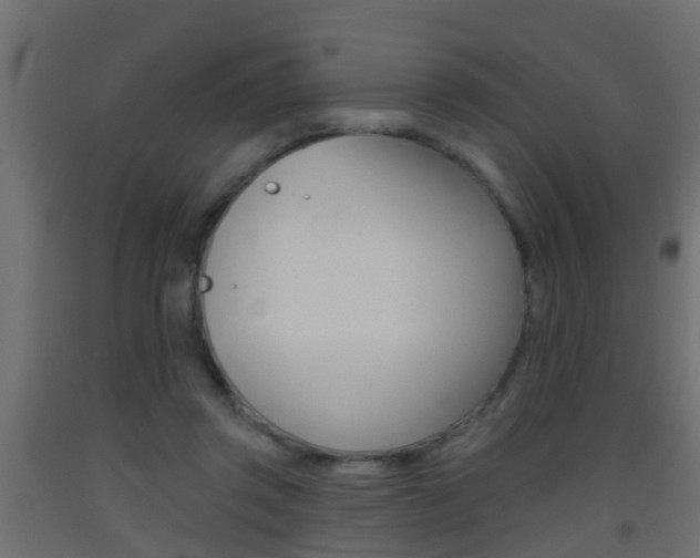 X0000093500357200710121048