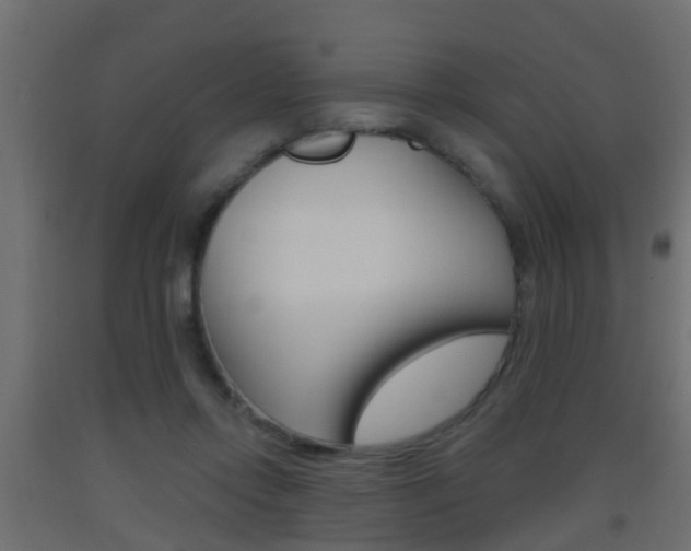X0000093500358200710121048