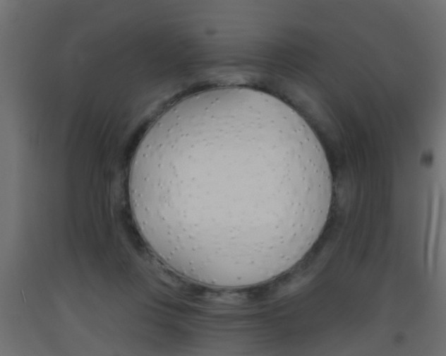X0000093500359200710121048