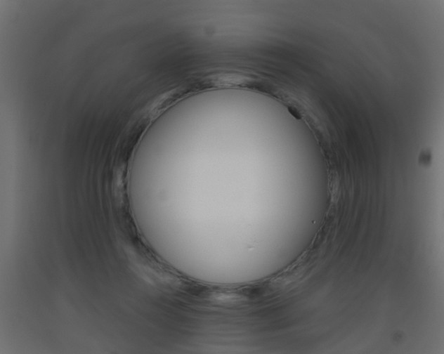X0000093500360200710121048
