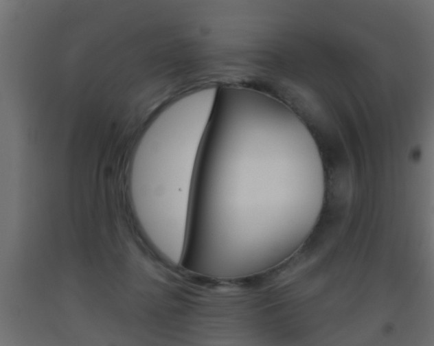X0000093500364200710121048