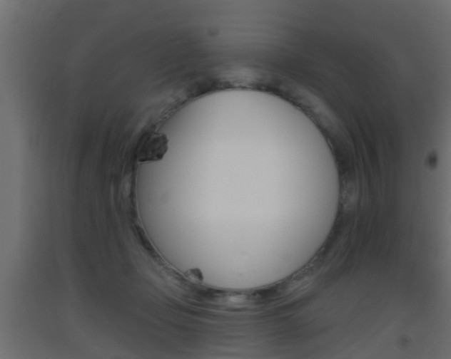X0000093500365200710121048