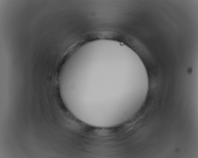 X0000093500367200710121048
