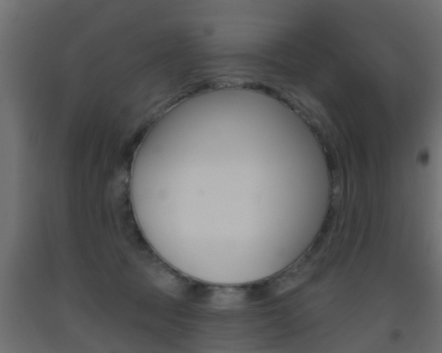X0000093500369200710121048