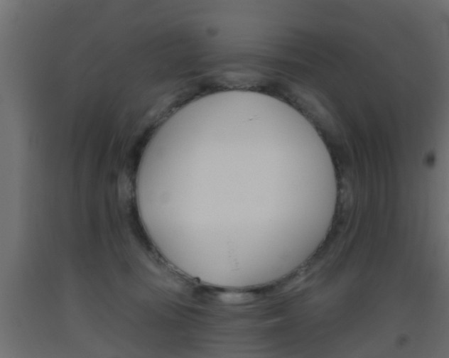 X0000093500371200710121048