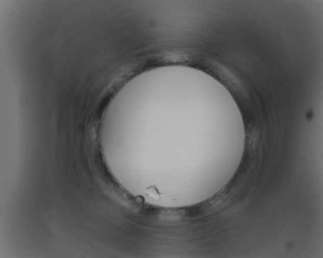 X0000093500373200710121048