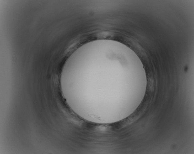 X0000093500375200710121048