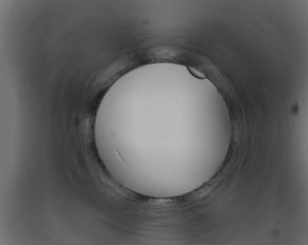 X0000093500378200710121048