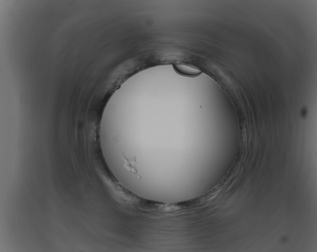 X0000093500379200710121048