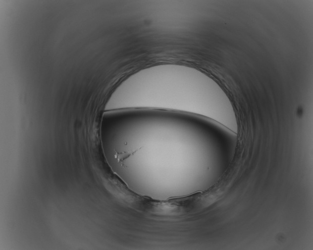 X0000093500380200710121048