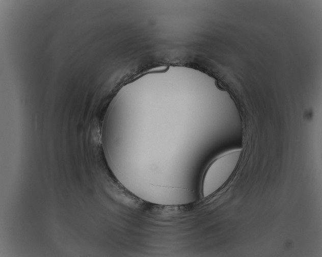 X0000093500384200710121048