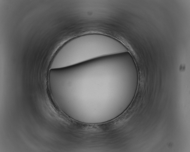 X0000093500386200710121048