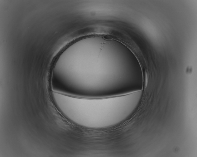 X0000093500387200710121048