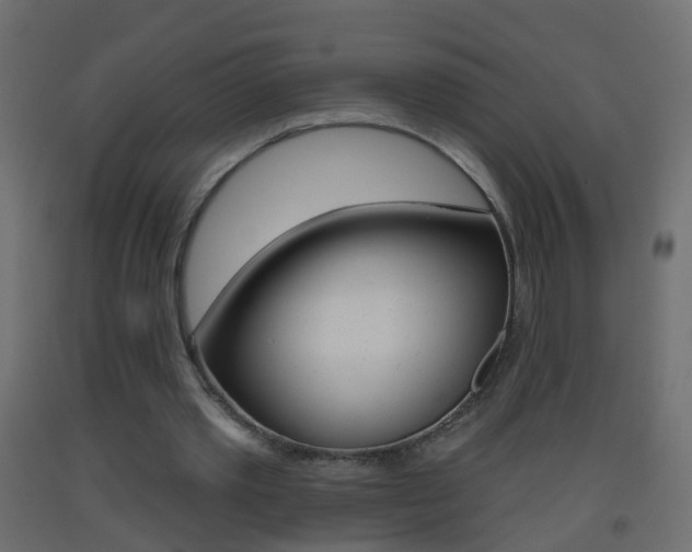 X0000093500389200710121048
