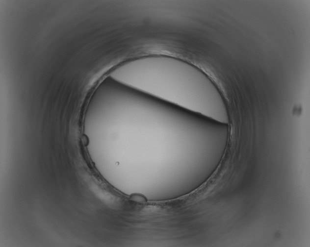 X0000093500390200710121048