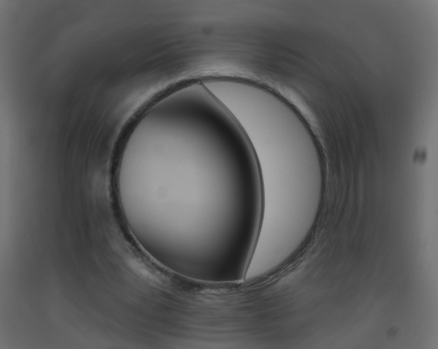 X0000093500391200710121048